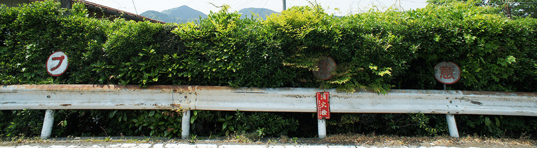 茨城・県北、奥久慈大子町でお洒落な地方創生・地域活性化・町おこし。カフェ&ゲストハウス、咲くカフェの新たな取り組み。田舎の風景