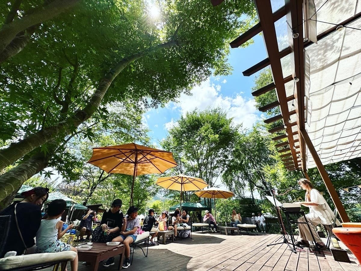 咲くカフェ live