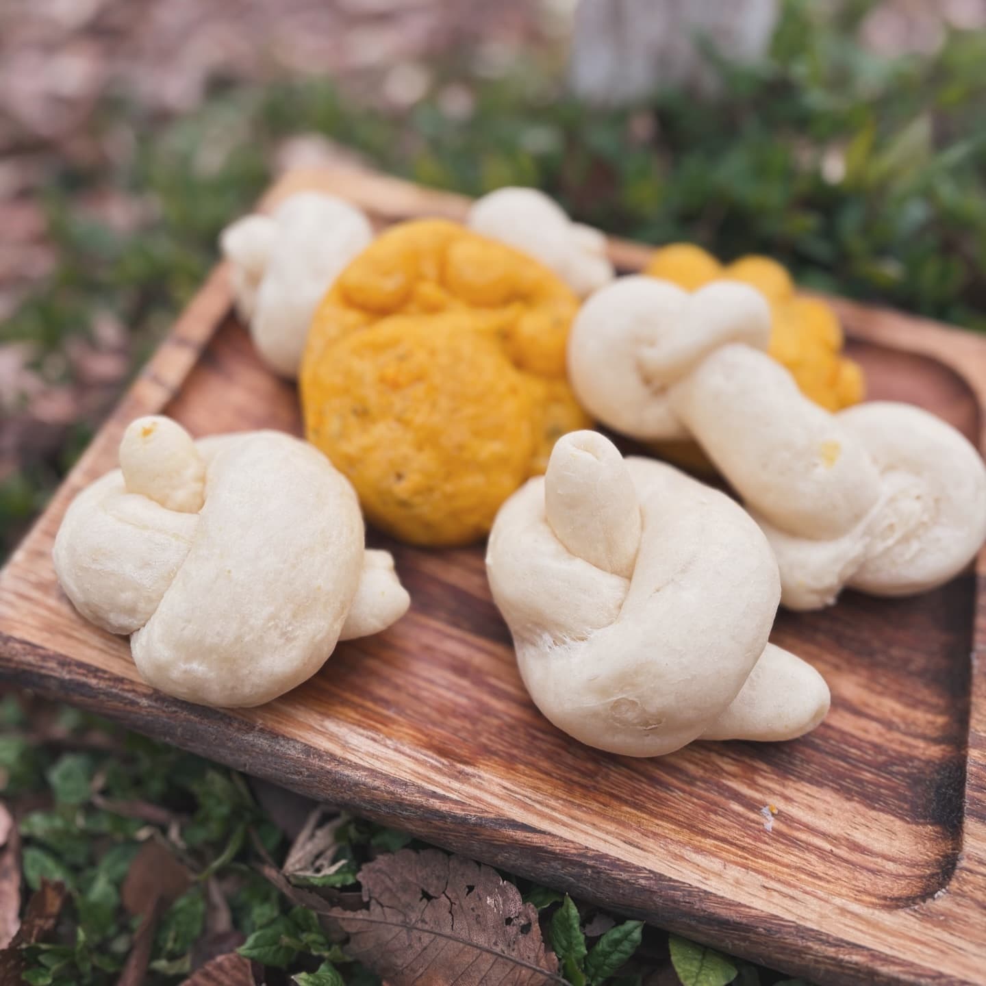 茨城大子・ペット同伴イベント　咲くカフェわんこ日和