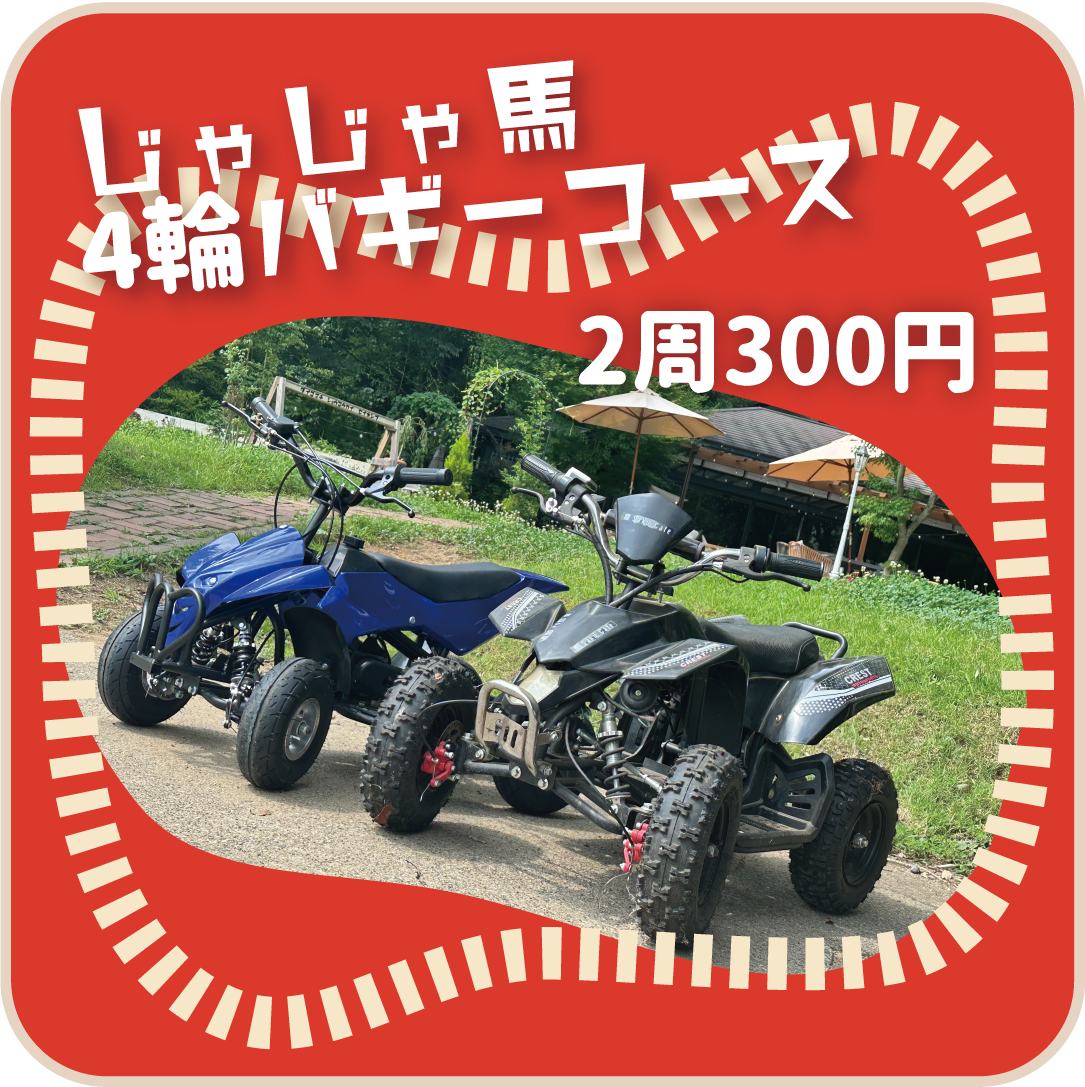 咲くカフェ　バギーコース